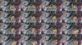 Terekam CCTV Sedang Melakukan Tindakan Asusila